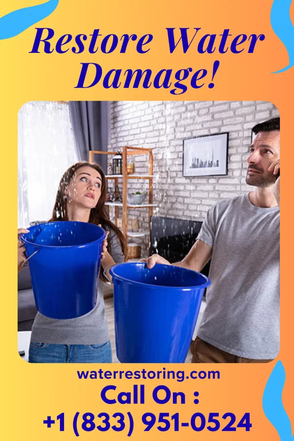 water restoration Royal Flood Damage Professionals Guttenberg