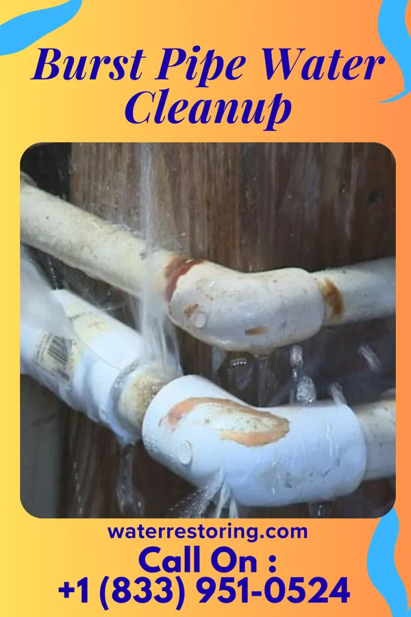 Burst Pipe Water Cleanup in Guttenberg, IA
