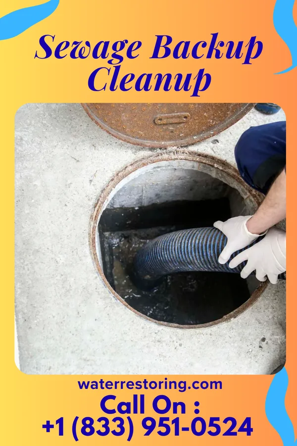 Sewage Backup Cleanup in Guttenberg, IA